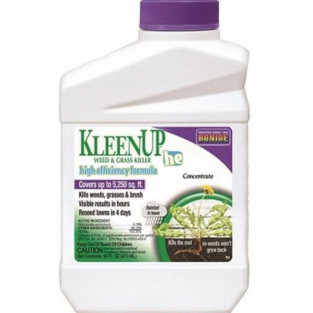 BONIDE PRODUCTS Bonide Kleen Up He Concentrate, 1 Pint 5039152